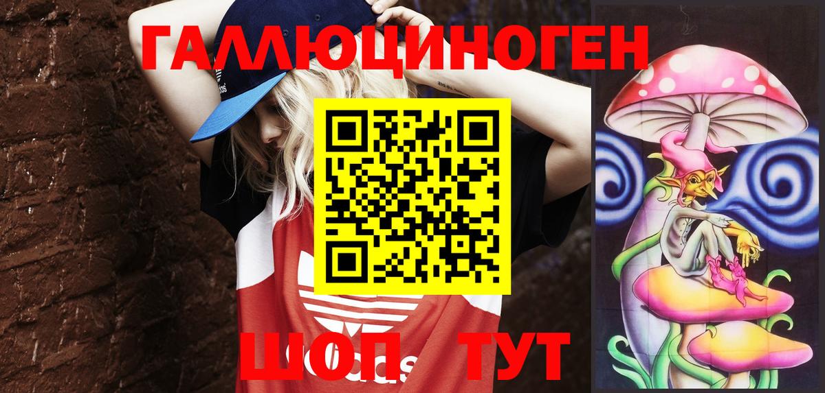 Дзержинск  Галлюциногенные грибы мицелий  Вход с VPN 